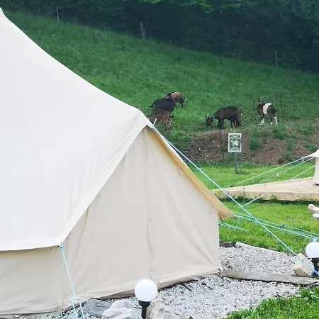 White Tent Mountain View In Camp Garden Park Glamping *