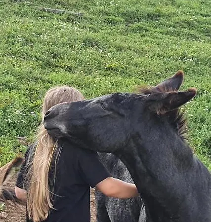 White Tent Mountain View In Camp Garden Park אוהל מפואר