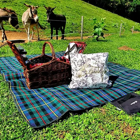 White Tent Mountain View In Camp Garden Park