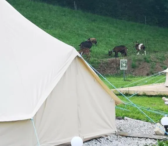 White Tent Mountain View In Camp Garden Park Luxuszelt *