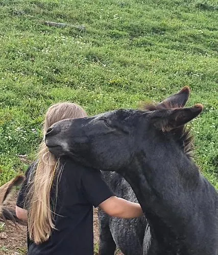 White Tent Mountain View In Camp Garden Park Luxury tent