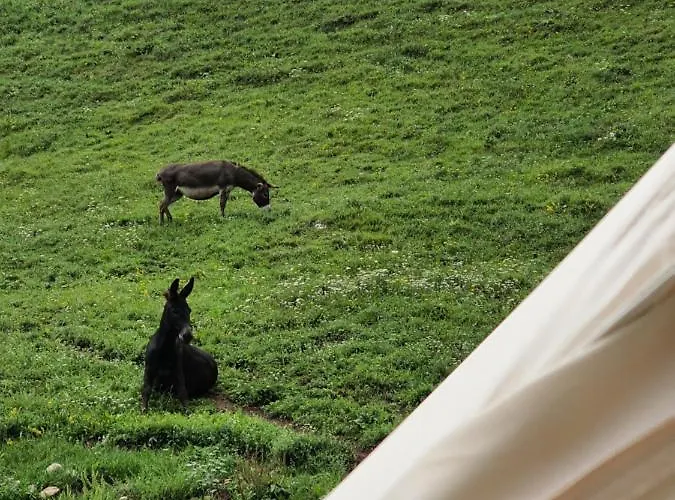 White Tent Mountain View In Camp Garden Park