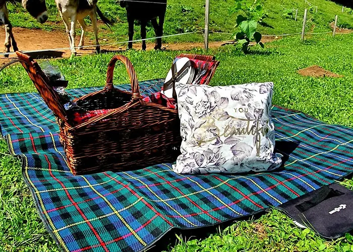 White Tent Mountain View In Camp Garden Park